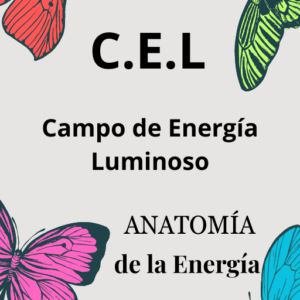 Anatomía Energética, Campo de Energía Luminoso