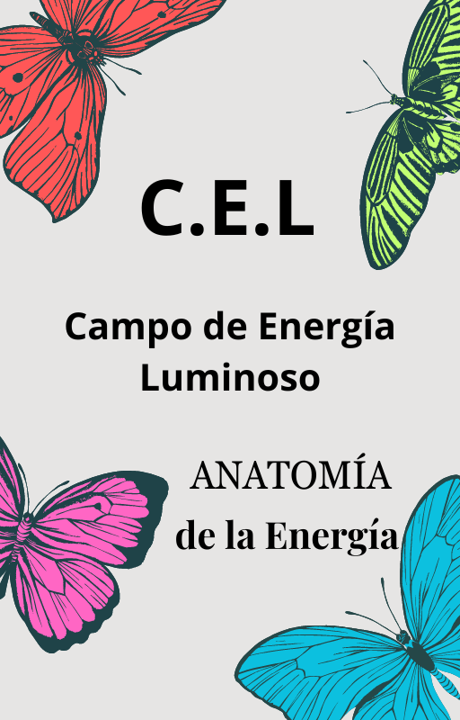 Anatomía Energética, Campo de Energía Luminoso